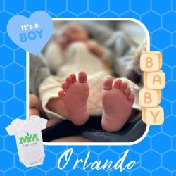 Heβs here! πΆπ»π©΅
Orlando wanted to join our team 2 weeks early!
28/9/24 π©΅
Mrs Gismondi and bubs are doing great, thank you to everyone for the well wishes π₯°